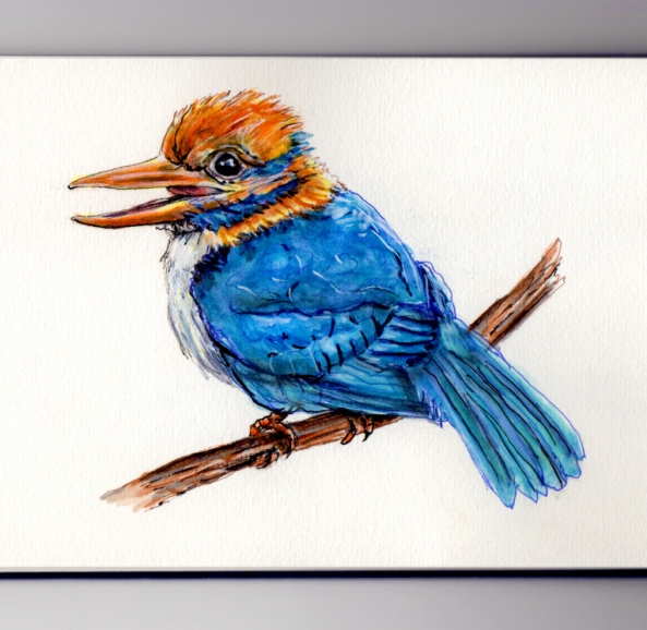 Watercolor by Charlie O', Kingfisher Bird